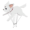Paraquedas - Sadaharu