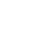 Emote Balão do Booyah!