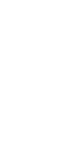 Dança da Motinha