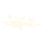 Emote Tigrão