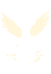 Emote Chuva de Penas