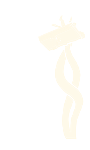 Emote Força Terrestre