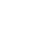 Rushada Ninja