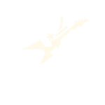 Guitarrista
