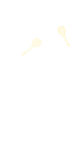 Maracás