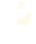 Emote Surf do Shiba