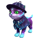 Traje de Pet: Gato Noturno