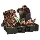 Conjunto Leopardo Selvagem