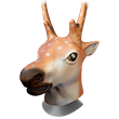Cabeça de Veado
