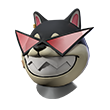 Shiba Moleque