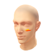 Triunfo do Fogo FFWS (Pintura facial)