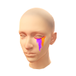 Plumas Tropicais (Pintura facial)