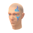 Skater Scars (ลายเพ้นท์)