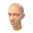 Despertar Científico (Pintura facial)