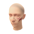Mascarada Flamejante (Pintura facial)