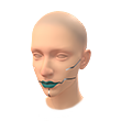 Cybermina