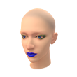Raposa Nórdica (Pintura facial)