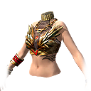 Armor of Riches (เสื้อ)