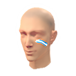 Argentina Facepaint