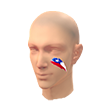 Pintura Facial Chile