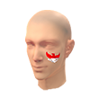 Pintura Facial Indonésia