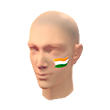 ভারত ফেসপেইন্ট