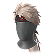 Bushi
