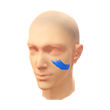 Profissional do Guache (Pintura facial)