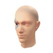 Corrupted Vein (Facepaint)