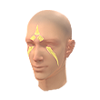 Protetor das Areias (Pintura facial)