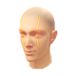 Leão das Muralhas (Pintura facial)