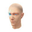 MC Nevado (Pintura facial)