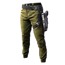 Combatente da Lei