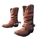 Botas de Montaria