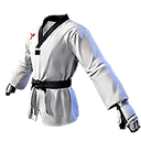 Taekwondo