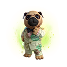 Traje de Pet: 00Pet Turista