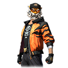 Conjunto Tigre Indomável