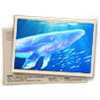 Undersea Mystery Banner