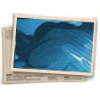 Banner Esquadrão Antibombas (Platina) T1