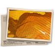 Banner Esquadrão Antibombas (Elite) T1