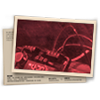 Banner Mestre- Esquadrão Antibombas Ranqueado
