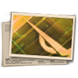 Banner Ouro do CS Ranqueado - T12