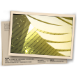 Banner Contra Squad T13 (Ouro)