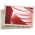 Banner Contra Squad T13 (Mestre)
