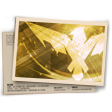 Banner Contra Squad T14 (Ouro)