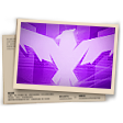 Banner Contra Squad T22 (Diamante)