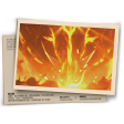 Banner CS Ranqueado T23 - Elite