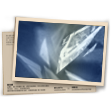 Banner Mestre CS Ranqueado T25