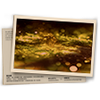 Banner CS Ranqueado T8 - Ouro