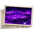 Banner CS Ranqueado T8 - Diamante